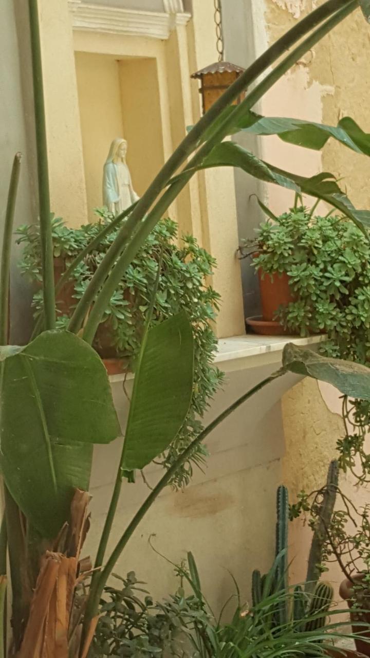 Casa Turismo "Madonna Del Paradiso" 마자라데발로 외부 사진